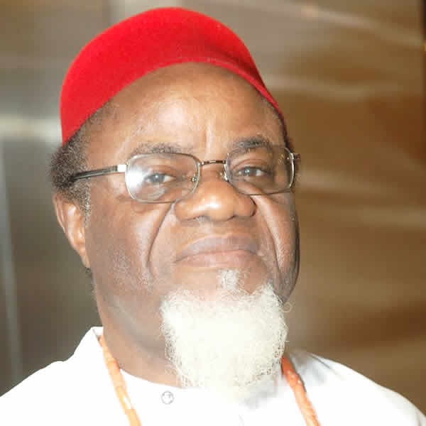 His Excellency, Dr. Chukwuemeka Ezeife (Okwadike)